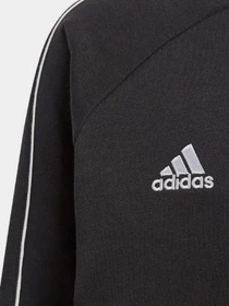 Худи и свитшоты Adidas Core 18 Performance модель CE9062 Фото