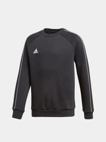 Худи и свитшоты Adidas Core 18 Performance модель CE9062 Фото