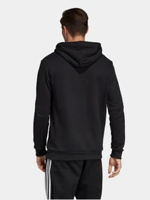 Худі та світшоти Adidas Trefoil Originals модель DT7964 Фото