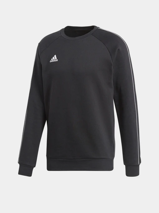 Худі та світшоти Adidas Core 18 Performance модель CE9064 Фото