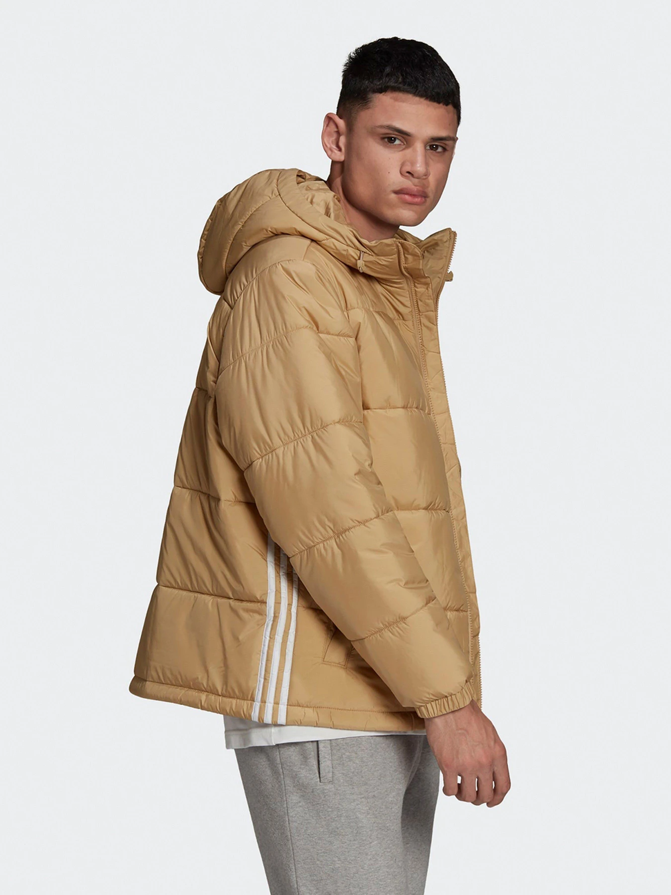 Куртки и дубленки Adidas PAD HOODED PUFF модель H13556 Куртки и дубленки Adidas PAD HOODED PUFF модель H13556 Фото