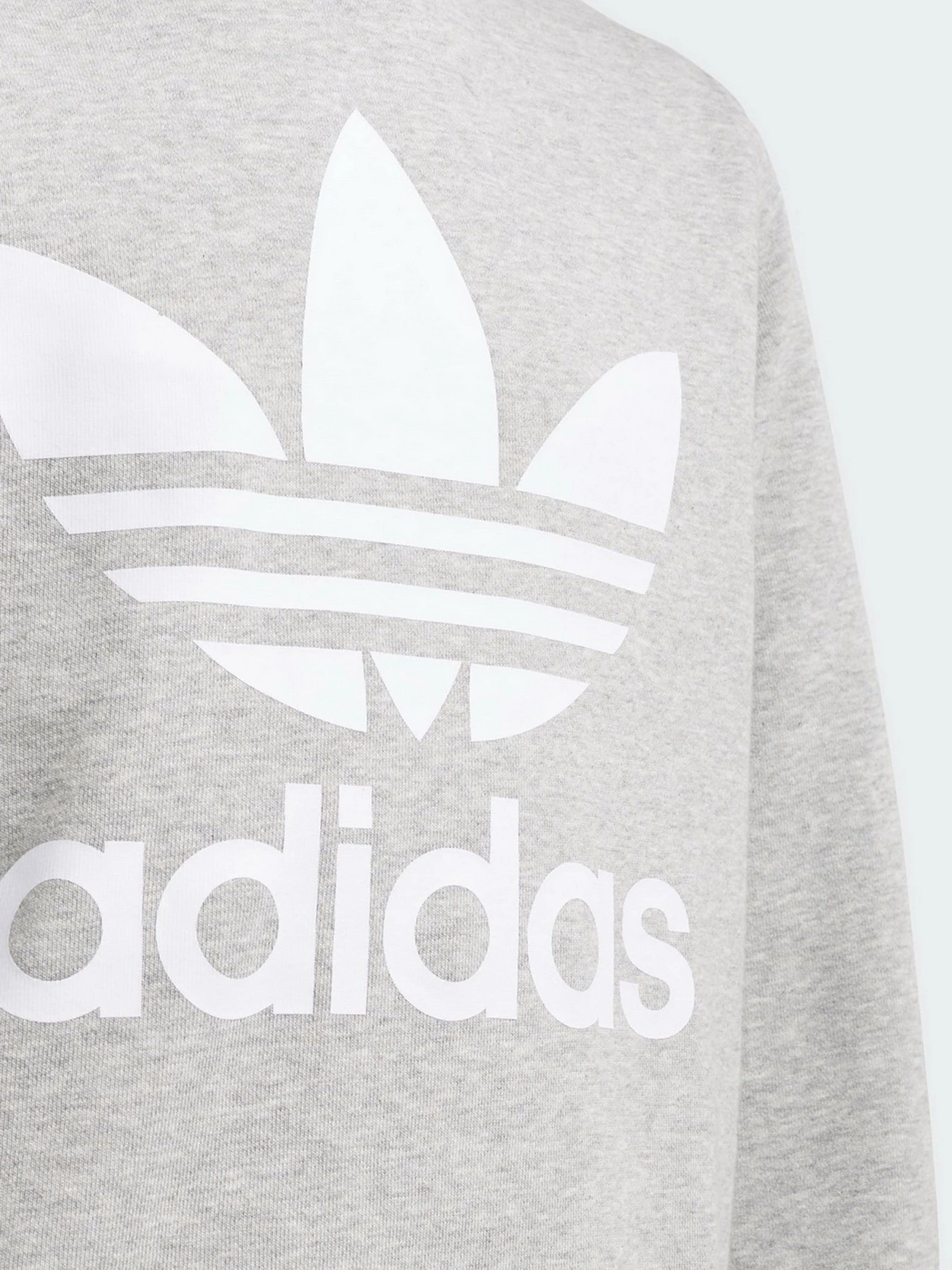 Худи и свитшоты Adidas Trefoil Originals модель GD2709 Худи и свитшоты Adidas Trefoil Originals модель GD2709 Фото