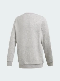 Худи и свитшоты Adidas Trefoil Originals модель GD2709 Фото