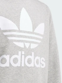 Худи и свитшоты Adidas Trefoil Originals модель GD2709 Фото