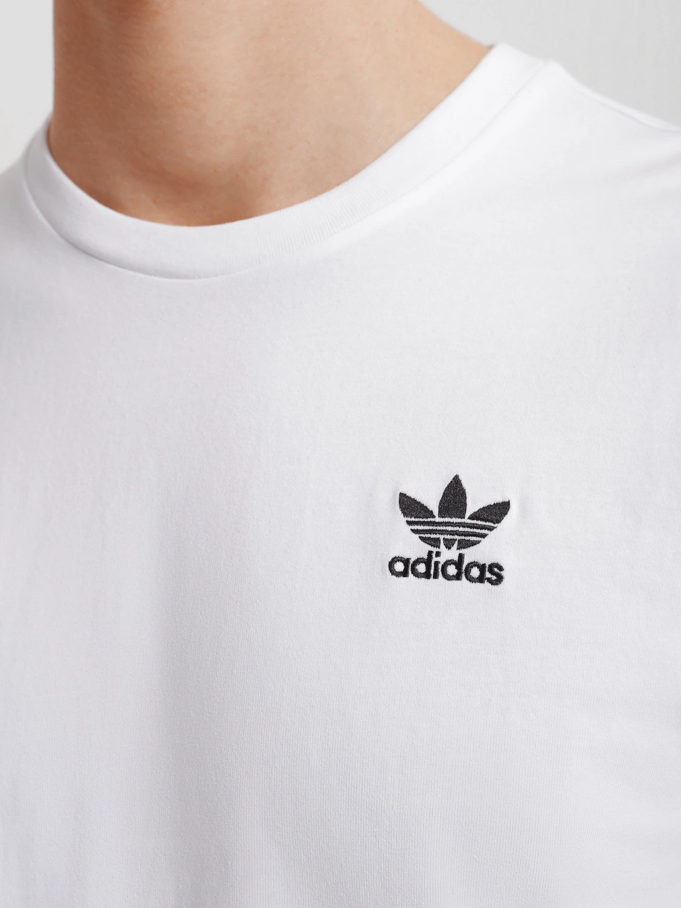 Футболки і поло Adidas Adicolor Classics Trefoil Boxy модель GN3453 Футболки і поло Adidas Adicolor Classics Trefoil Boxy модель GN3453 Фото