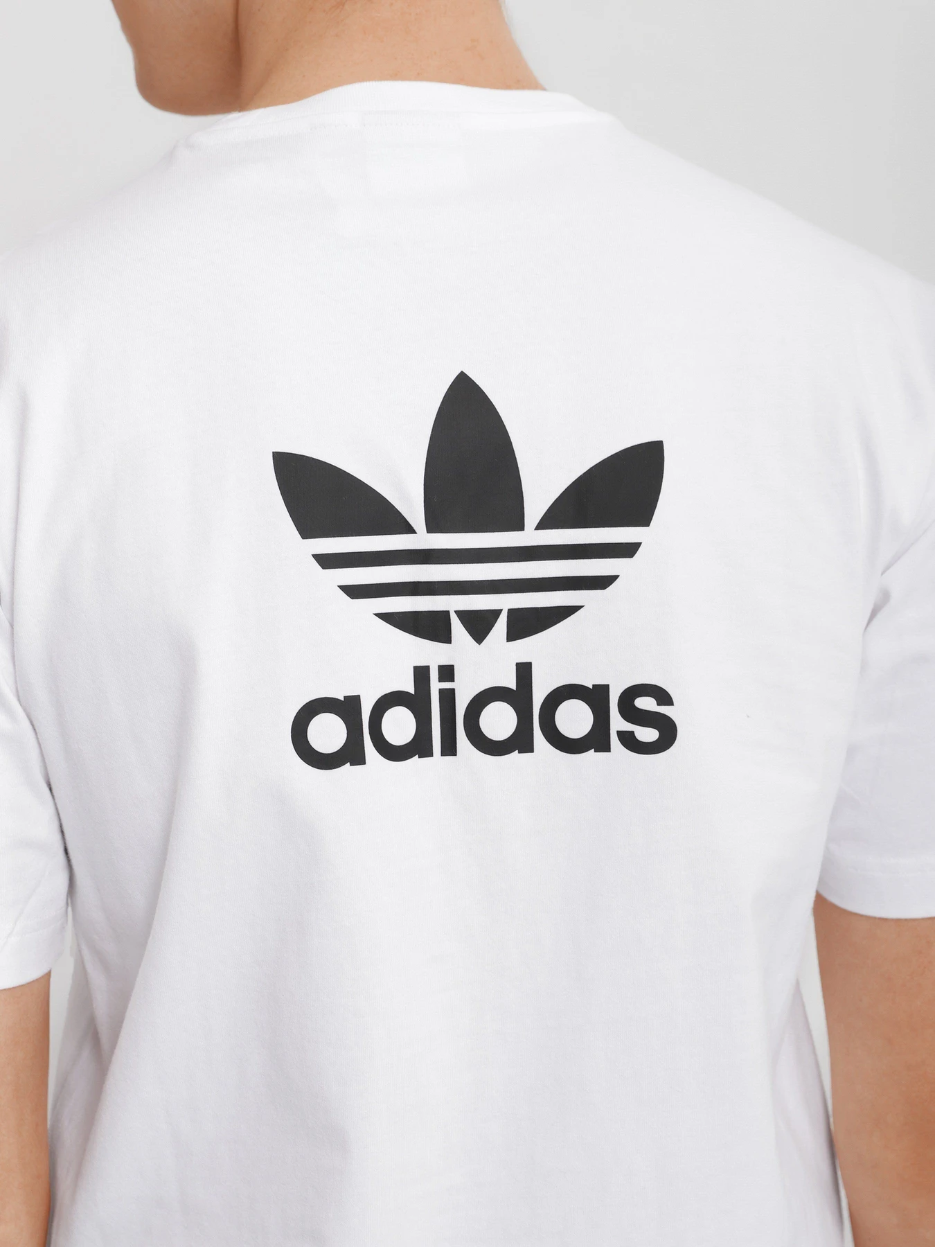 Футболки і поло Adidas Adicolor Classics Trefoil Boxy модель GN3453 Футболки і поло Adidas Adicolor Classics Trefoil Boxy модель GN3453 Фото