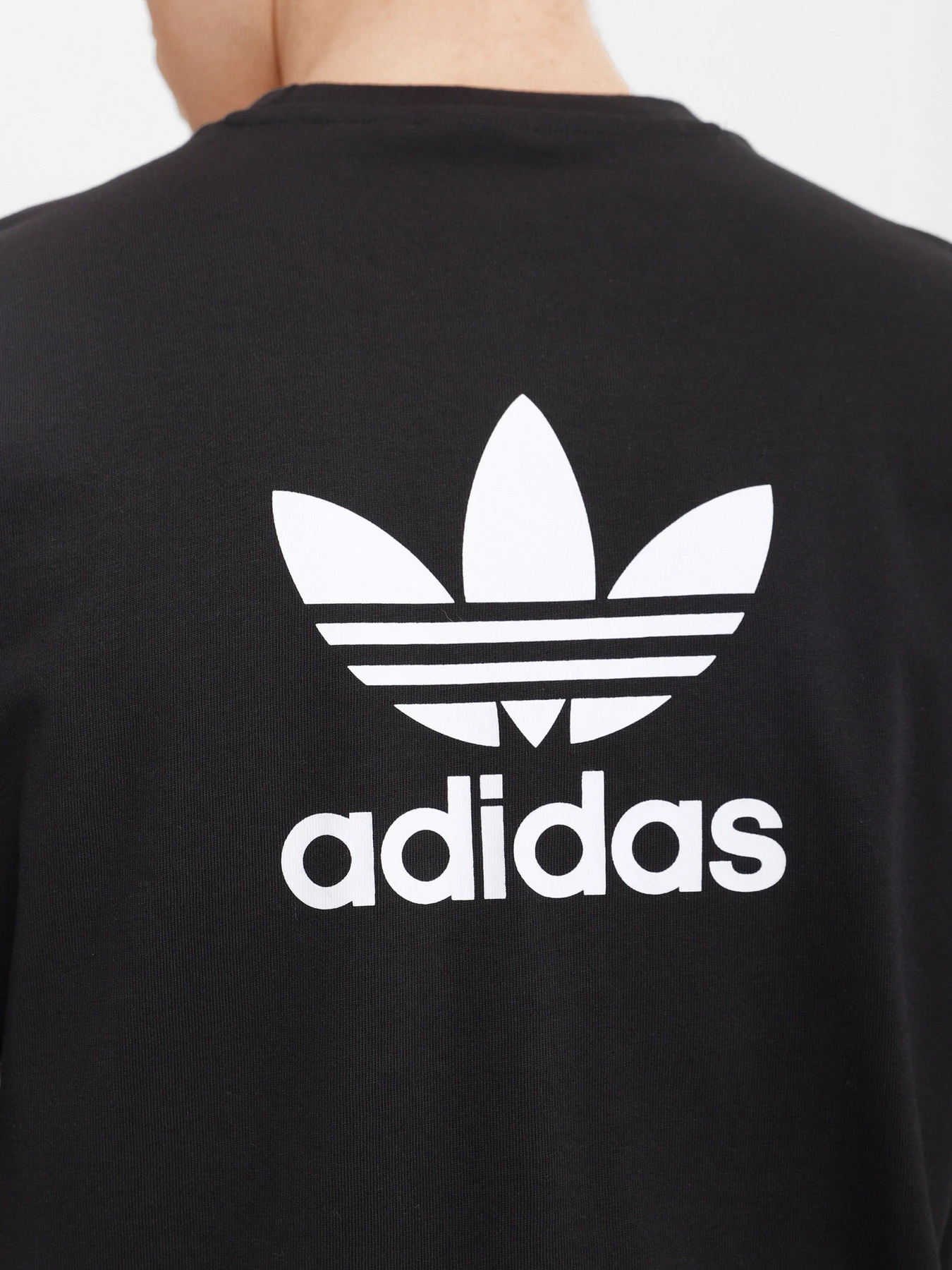 Футболки і поло Adidas ADICOLOR CLASSICS TREFOIL BOXY модель GN3454 Футболки і поло Adidas ADICOLOR CLASSICS TREFOIL BOXY модель GN3454 Фото
