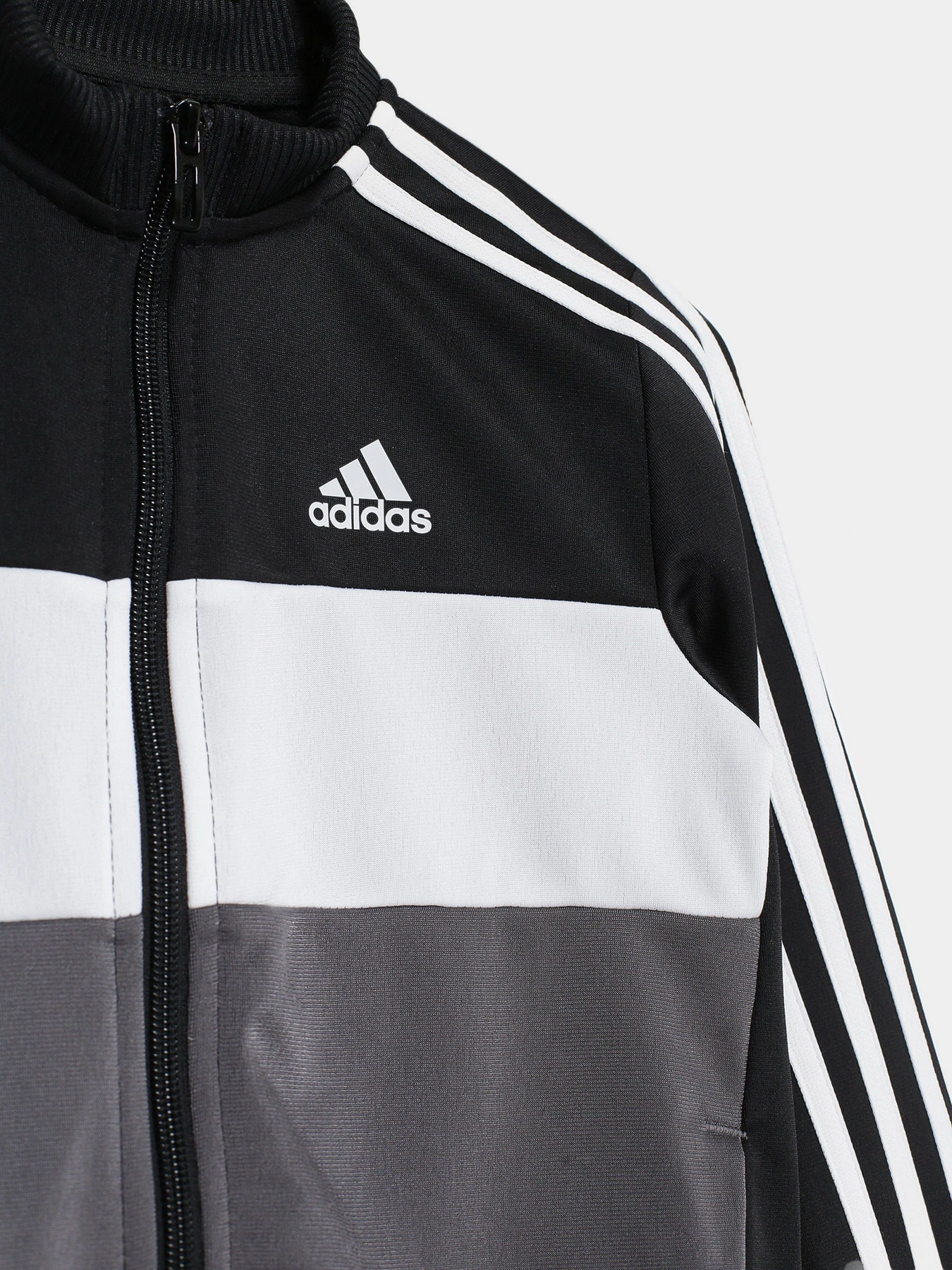 Костюми Adidas ESSENTIALS LOGO модель GN3970 Костюми Adidas ESSENTIALS LOGO модель GN3970 Фото