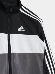 Костюми Adidas ESSENTIALS LOGO модель GN3970 Фото