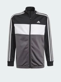 Костюми Adidas ESSENTIALS LOGO модель GN3970 Фото