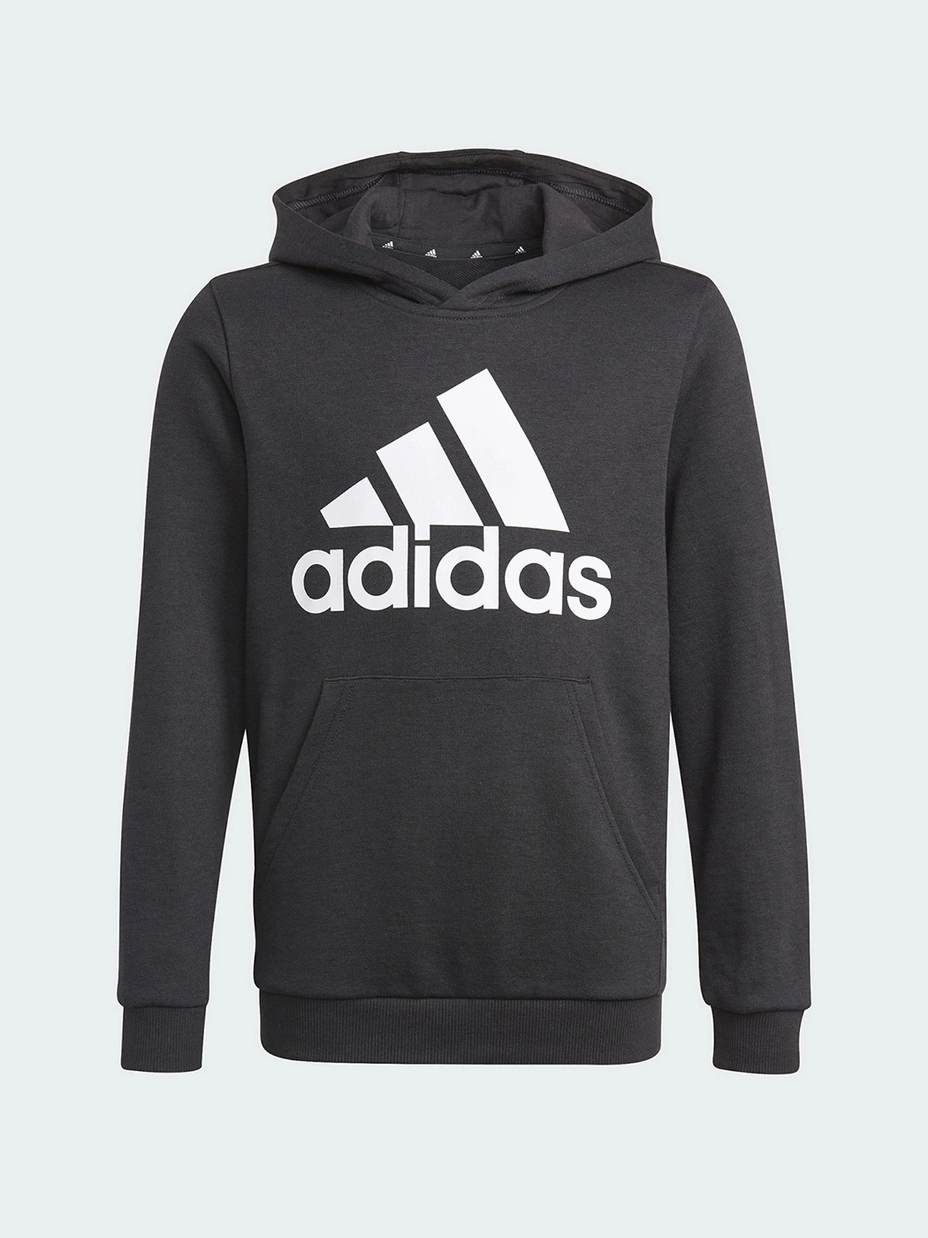 Худи и свитшоты Adidas Essentials Performance модель GN4027 Фото
