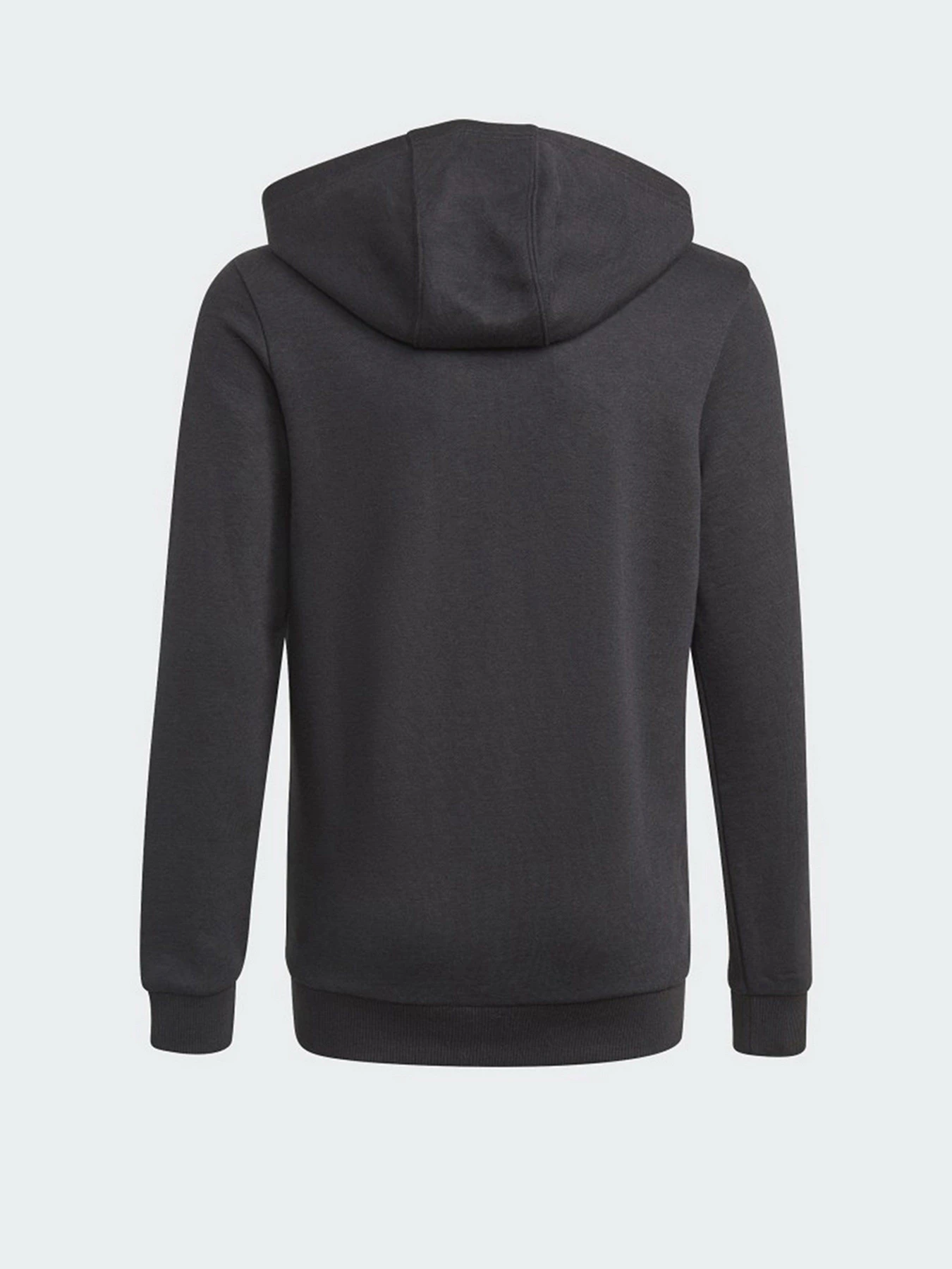 Худи и свитшоты Adidas Essentials Performance модель GN4027 Фото