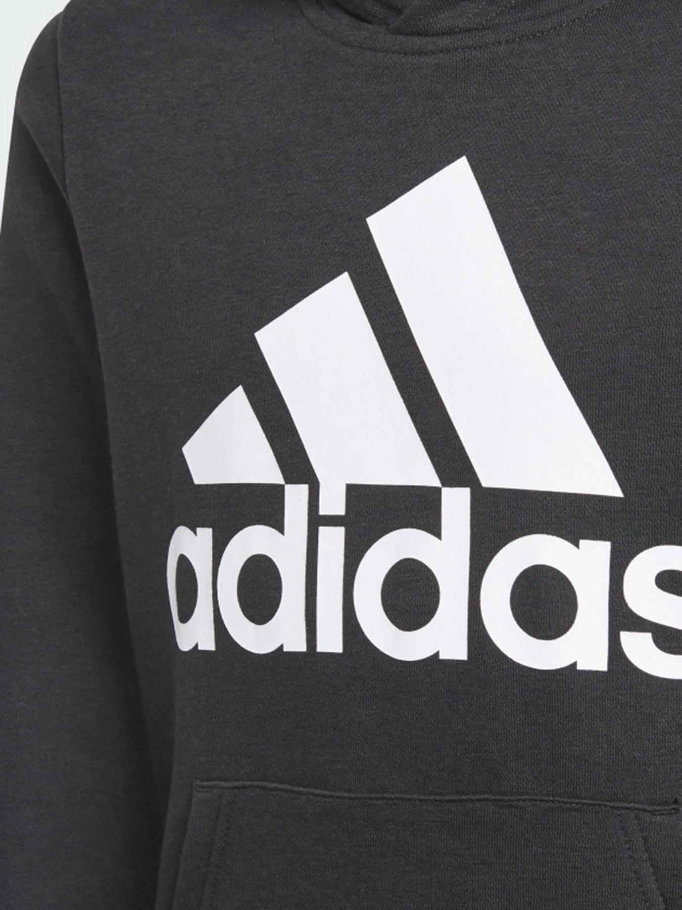 Худи и свитшоты Adidas Essentials Performance модель GN4027 Фото