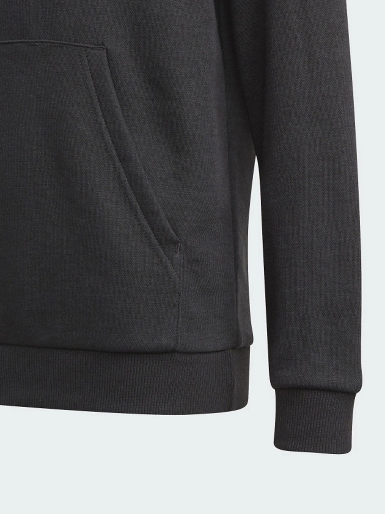 Худи и свитшоты Adidas Essentials Performance модель GN4027 Фото