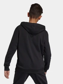 Худи и свитшоты Adidas Essentials Performance модель GN4027 Фото