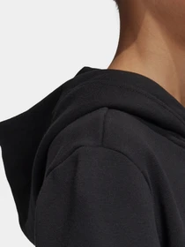 Худи и свитшоты Adidas Essentials Performance модель GN4027 Фото