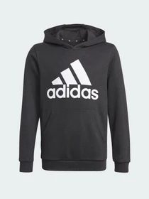 Худи и свитшоты Adidas Essentials Performance модель GN4027 Фото