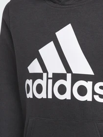 Худи и свитшоты Adidas Essentials Performance модель GN4027 Фото