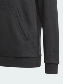 Худи и свитшоты Adidas Essentials Performance модель GN4027 Фото