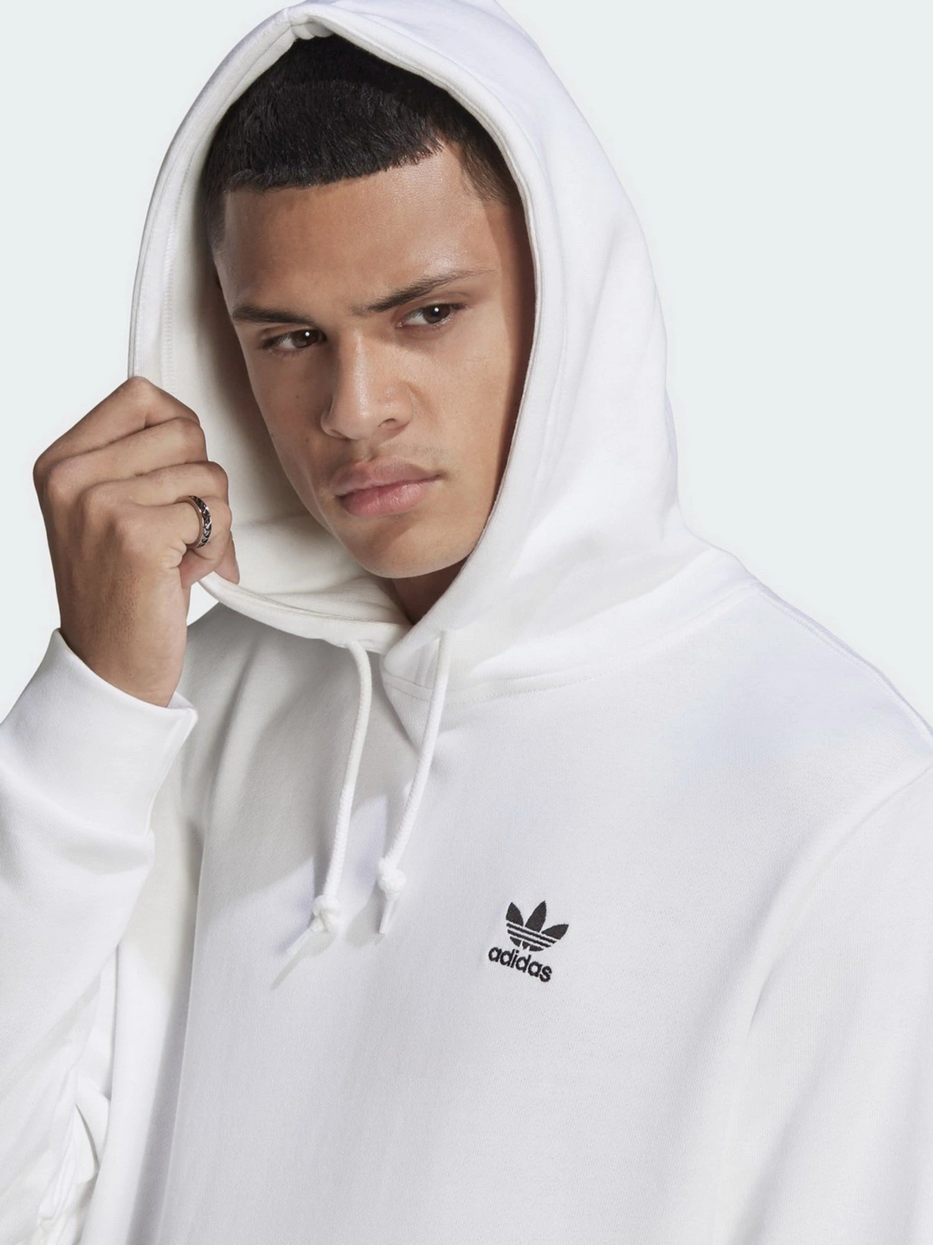 Худи и свитшоты Adidas Trefoil Essentials модель GP0931 Худи и свитшоты Adidas Trefoil Essentials модель GP0931 Фото