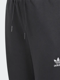 Брюки Adidas Adicolor Originals модель H32406 Фото