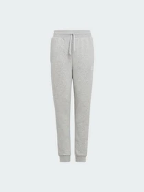 Брюки Adidas Adicolor модель H32407 Фото