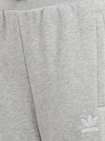 Брюки Adidas Adicolor модель H32407 Фото