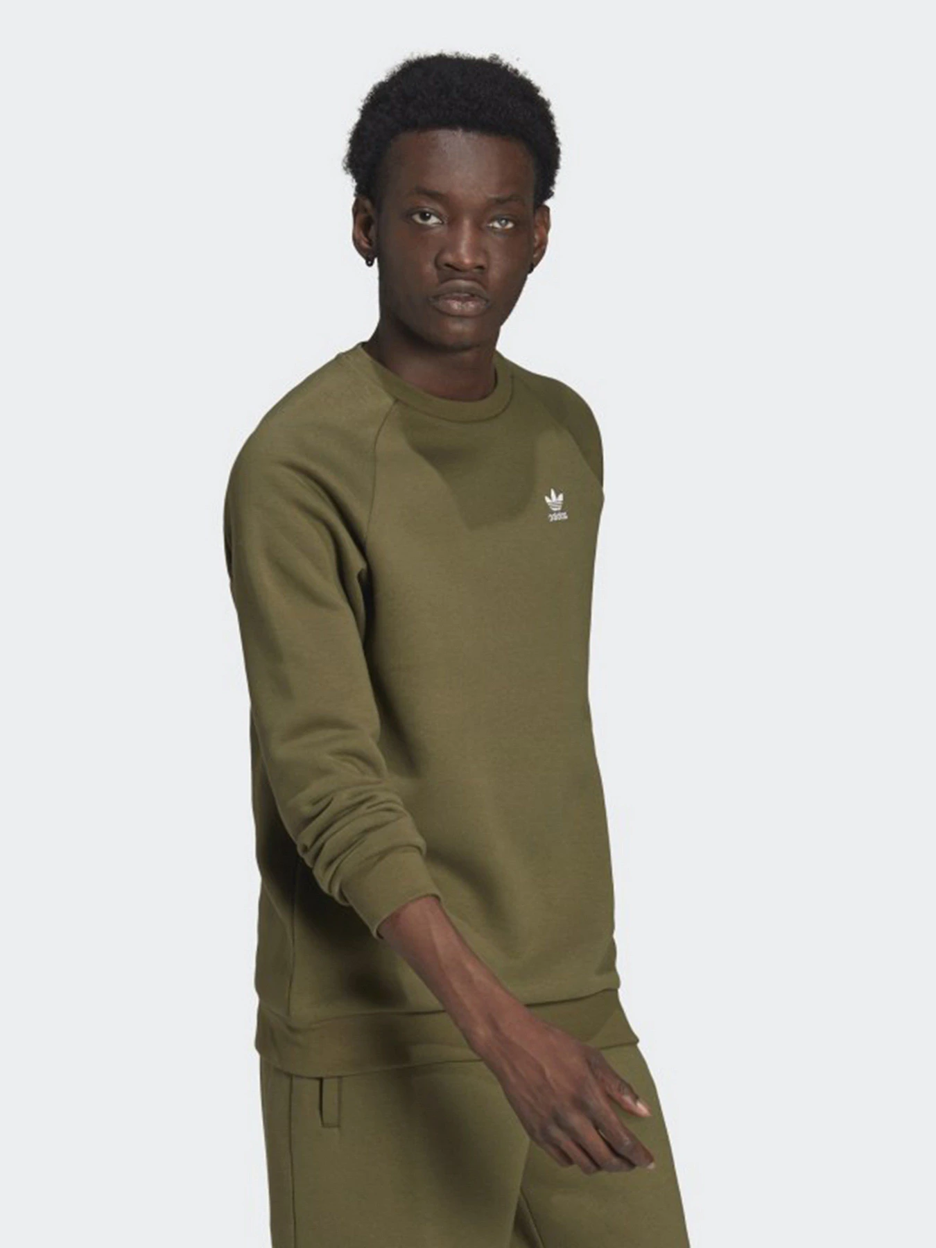 Худі та світшоти Adidas Adicolor Essentials Trefoil модель H65674 Худі та світшоти Adidas Adicolor Essentials Trefoil модель H65674 Фото