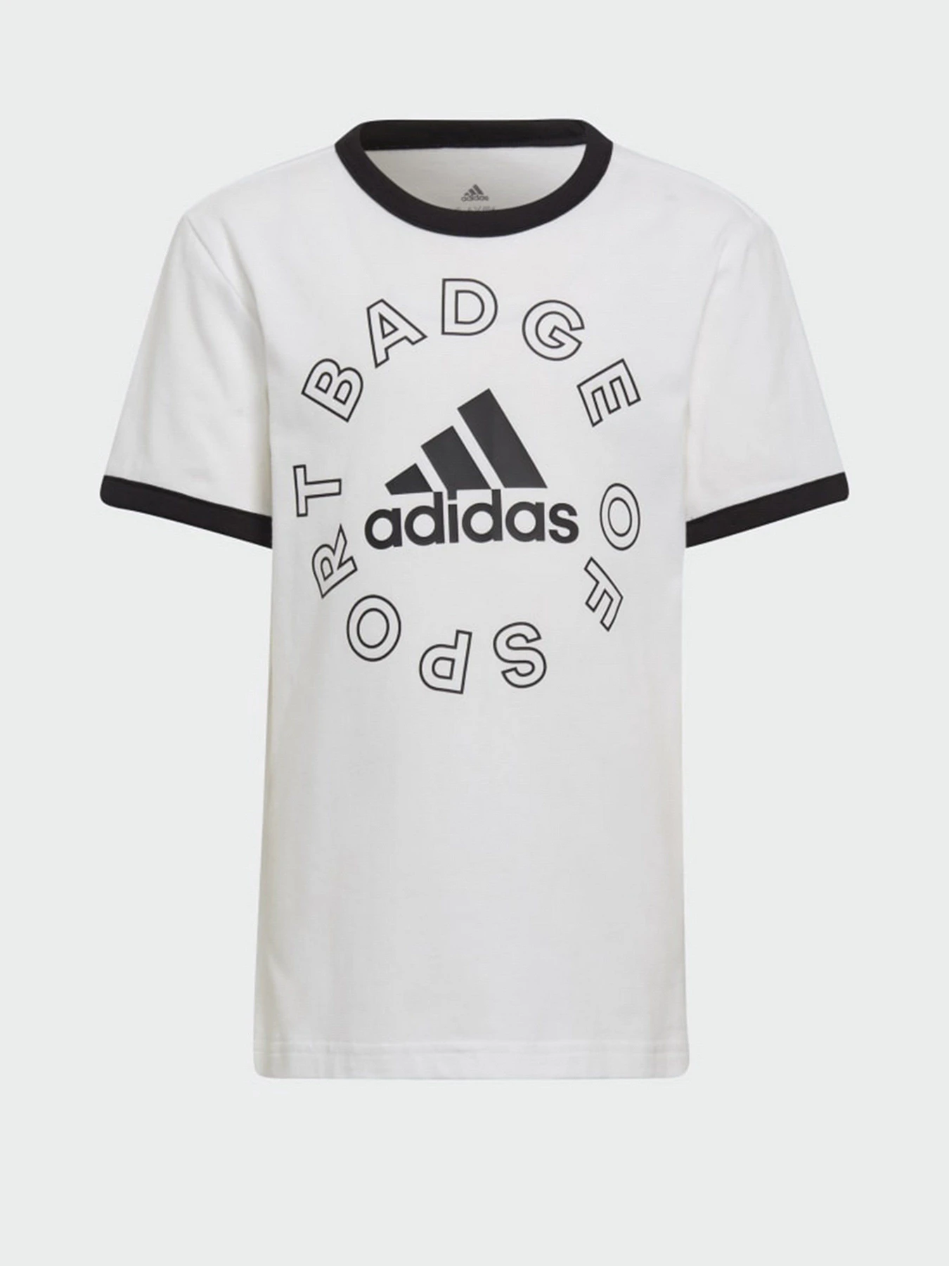 Костюмы Adidas Essentials Logo модель H65801 Костюмы Adidas Essentials Logo модель H65801 Фото