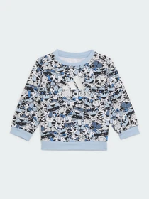 Костюмы Adidas Graphic Performance модель H65806 Фото
