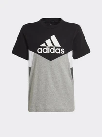 Футболки и поло Adidas Colorblock Sportswear модель HA4025 Фото