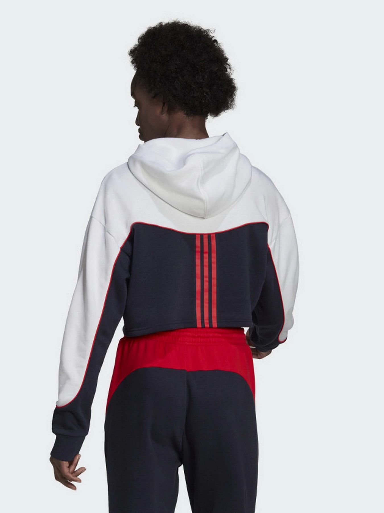Худі та світшоти Adidas Essentials Colorblock 3-Stripes модель HA6619 Фото