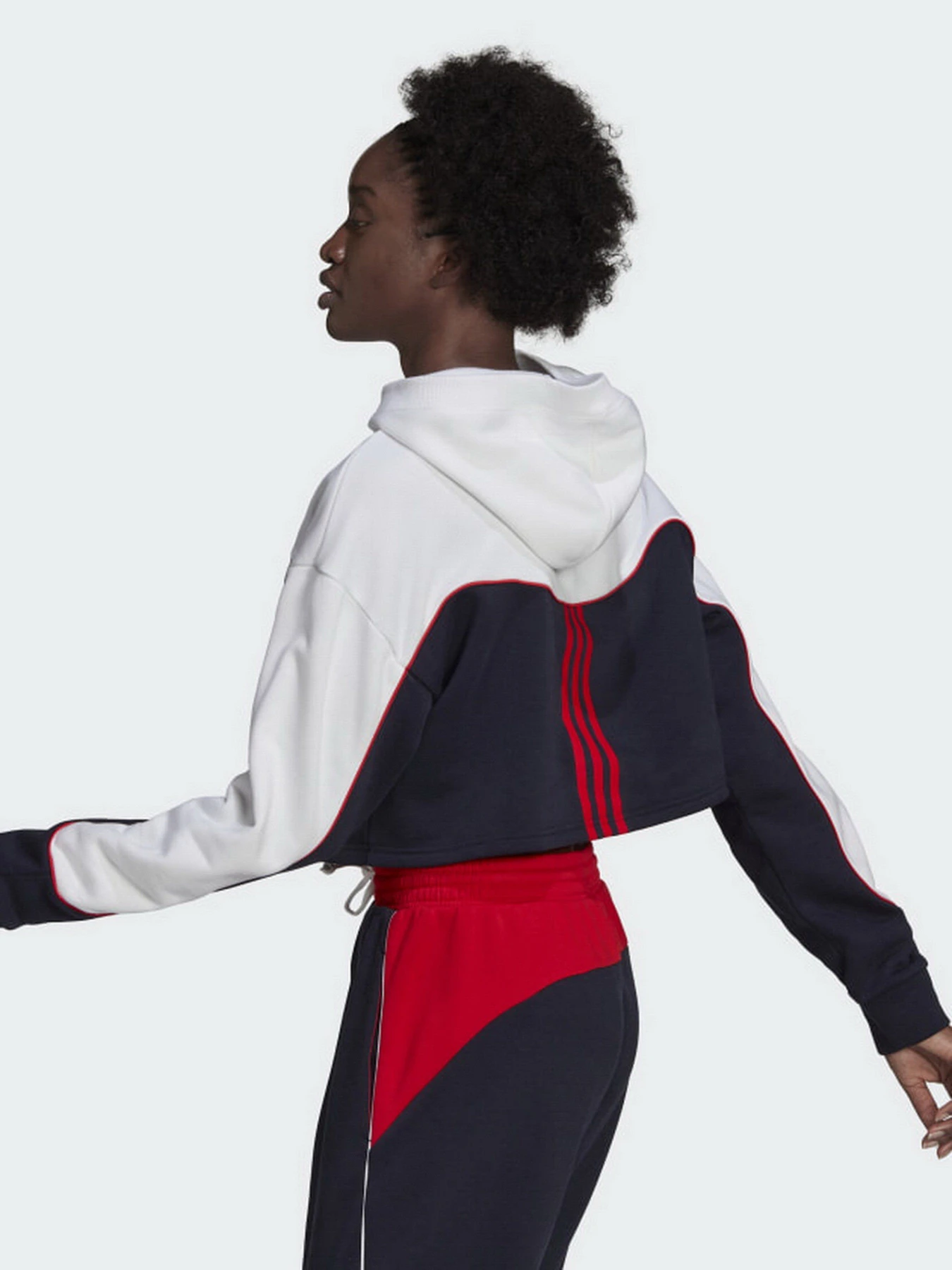 Худі та світшоти Adidas Essentials Colorblock 3-Stripes модель HA6619 Фото