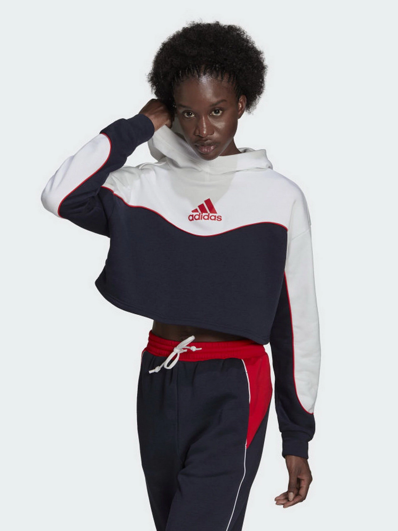 Худі та світшоти Adidas Essentials Colorblock 3-Stripes модель HA6619 Фото