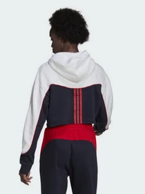 Худі та світшоти Adidas Essentials Colorblock 3-Stripes модель HA6619 Фото