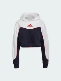 Худі та світшоти Adidas Essentials Colorblock 3-Stripes модель HA6619 Фото