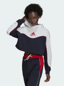 Худі та світшоти Adidas Essentials Colorblock 3-Stripes модель HA6619 Фото