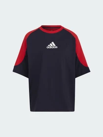 Футболки и поло Adidas Essentials Colorblock Boyfriend модель HA6620 Фото