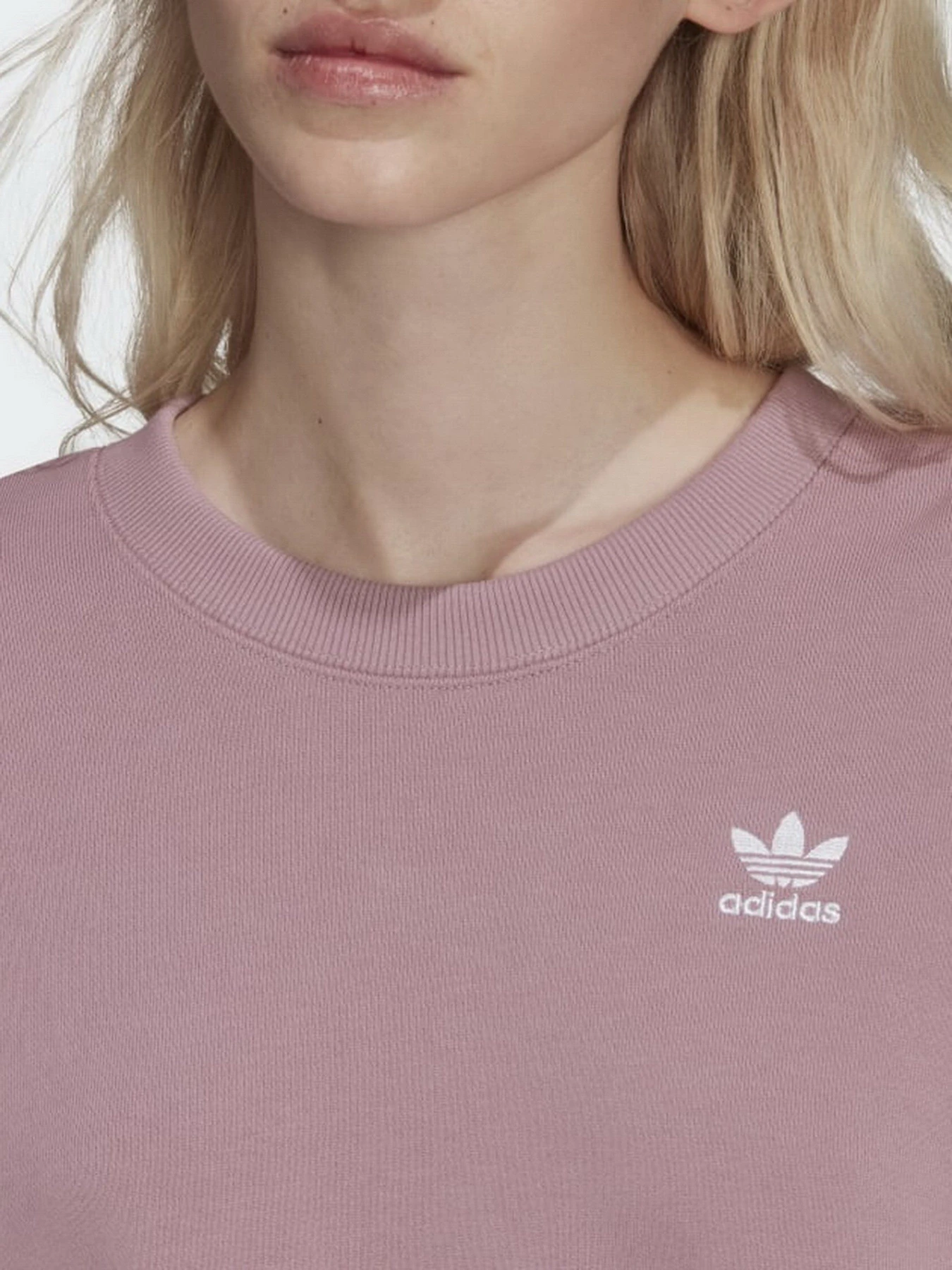 Худі та світшоти Adidas Adicolor Classics модель HC2027 Худі та світшоти Adidas Adicolor Classics модель HC2027 Фото