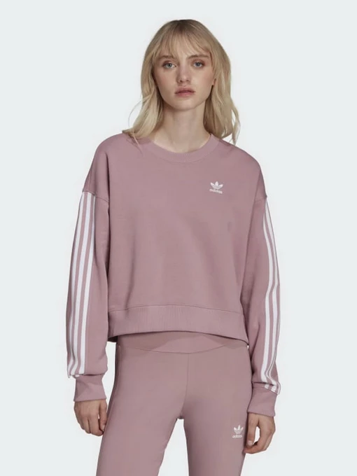 Худи и свитшоты Adidas Adicolor Classics модель HC2027 Фото