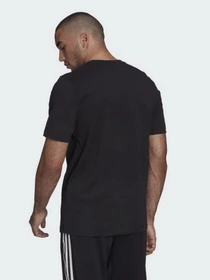 Футболки і поло Adidas Adicolor Spinner модель HC4487 Фото