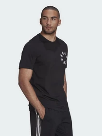 Футболки і поло Adidas Adicolor Spinner модель HC4487 Фото