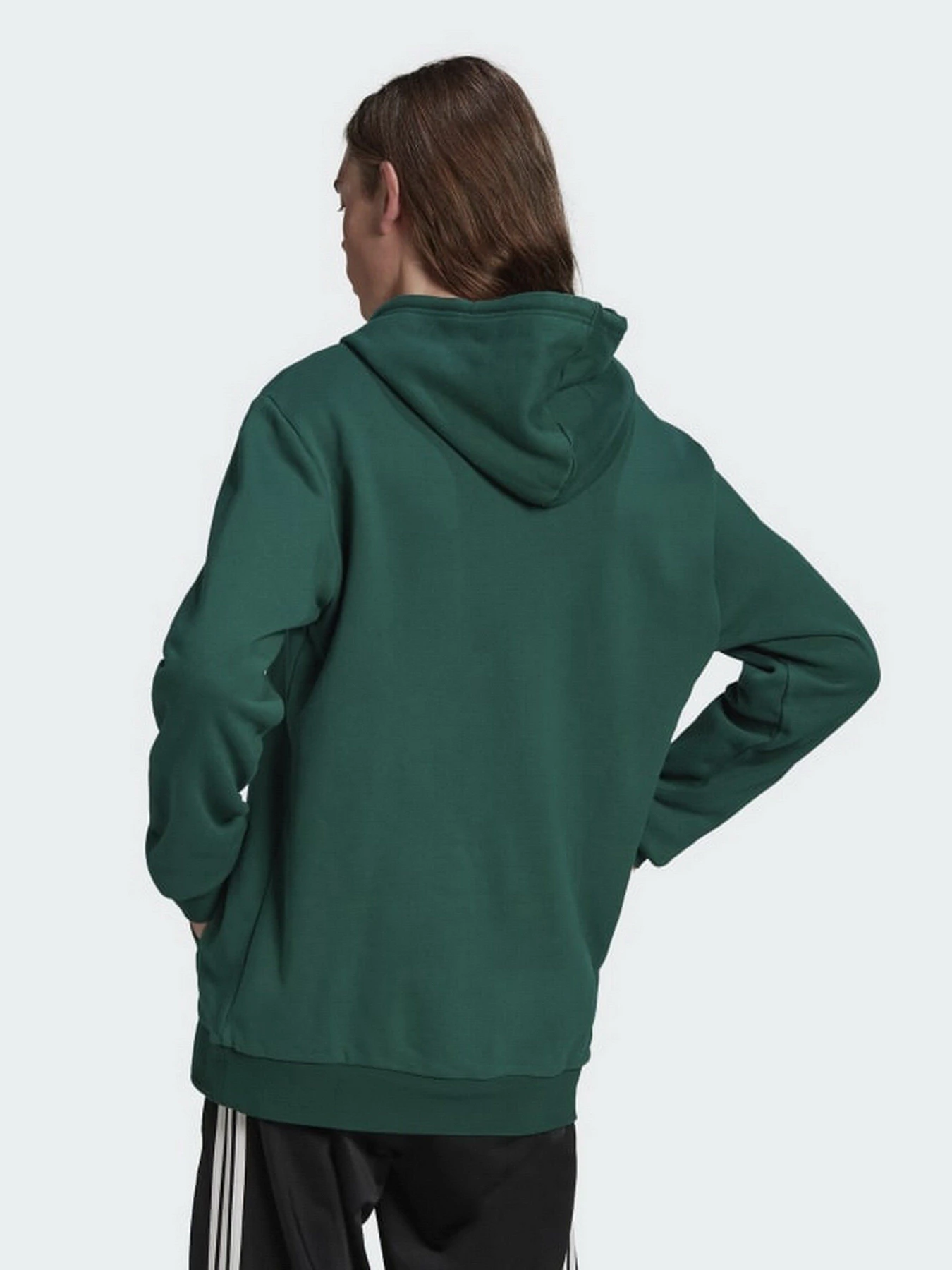 Худи и свитшоты Adidas ADICOLOR SPINNER модель HC4491 Фото