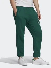 Брюки Adidas Adicolor Spinner модель HC4494 Фото