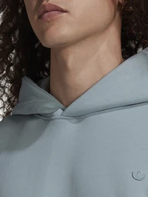 Худи и свитшоты Adidas Adicolor 3d Trefoil модель HC4522 Фото