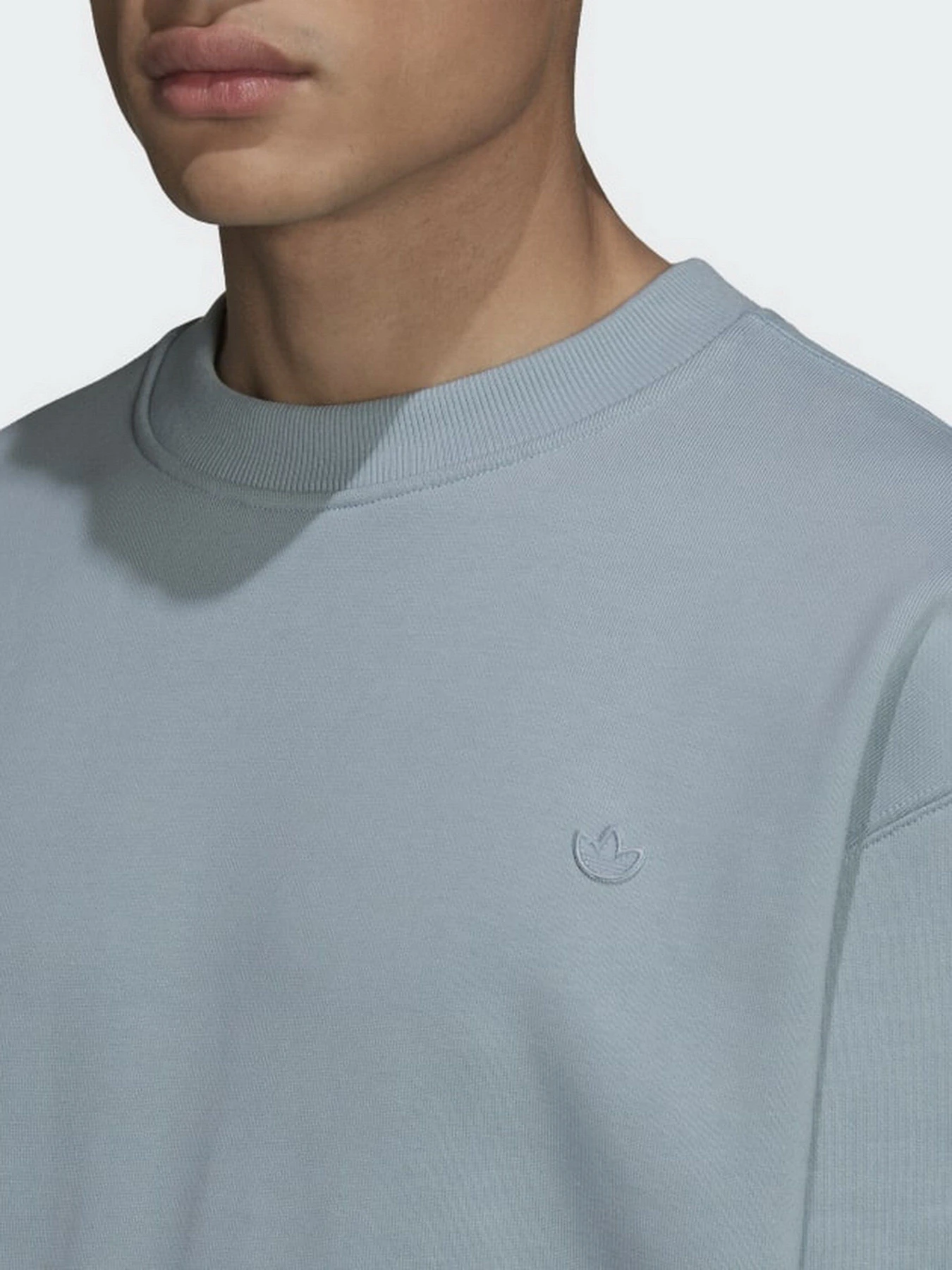 Худи и свитшоты Adidas Adicolor Trefoil модель HC4527 Худи и свитшоты Adidas Adicolor Trefoil модель HC4527 Фото