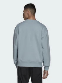 Худи и свитшоты Adidas Adicolor Trefoil модель HC4527 Фото