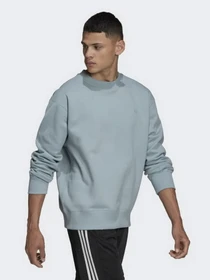 Худи и свитшоты Adidas Adicolor Trefoil модель HC4527 Фото