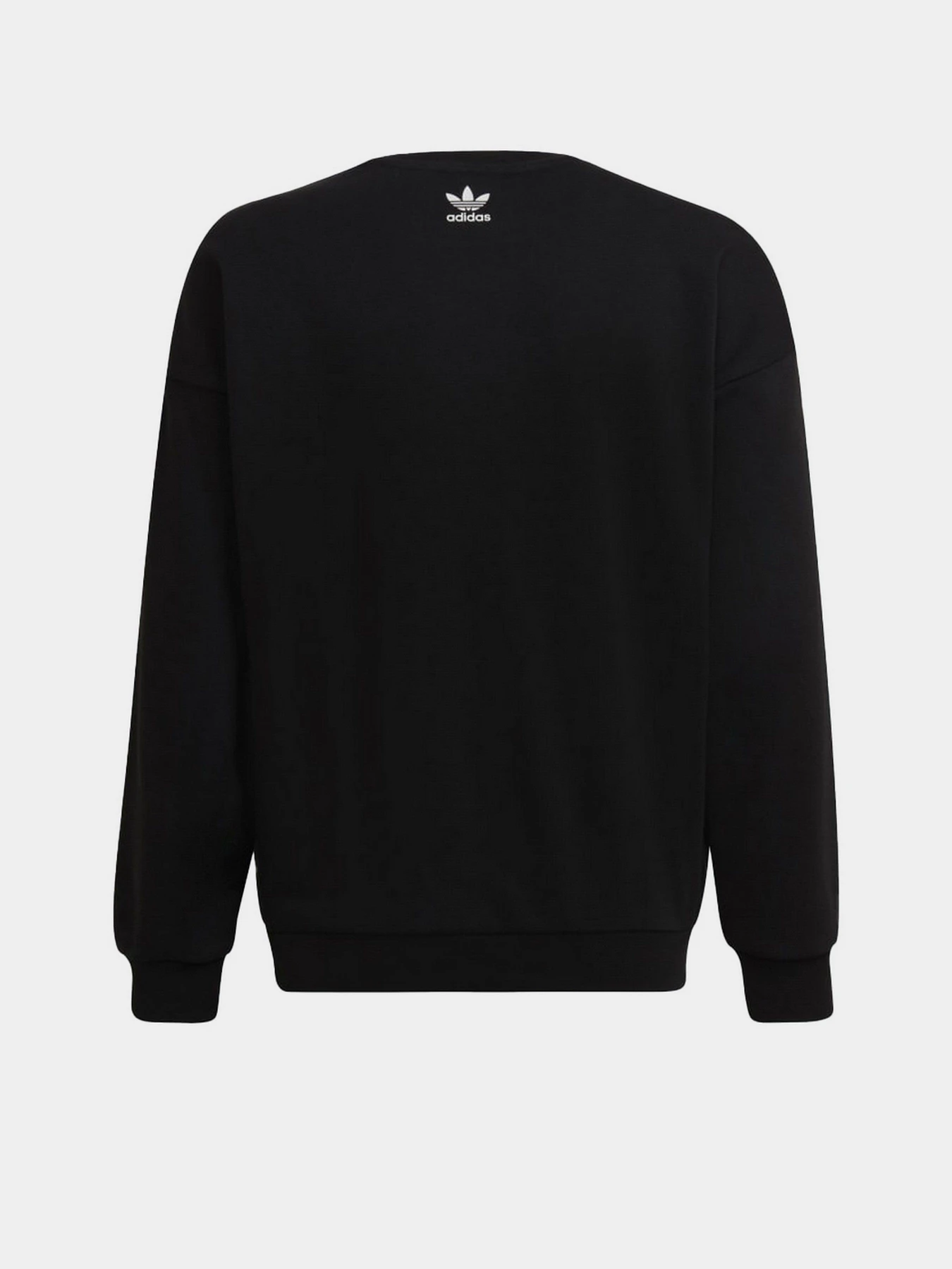 Худи и свитшоты Adidas Graphic Crew модель HC4558 Фото