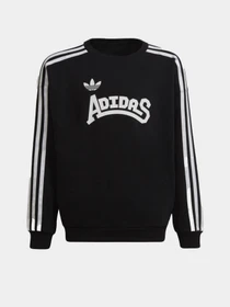 Худи и свитшоты Adidas Graphic Crew модель HC4558 Фото